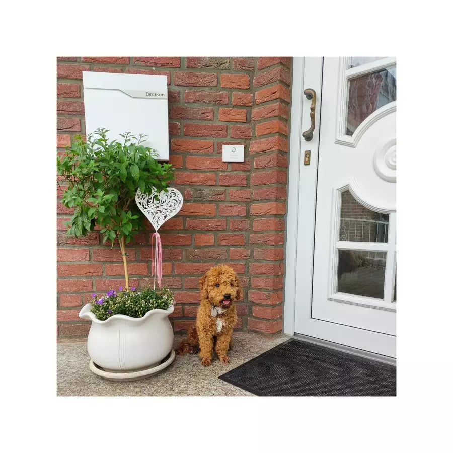 RAL 9016 liiklusvalge