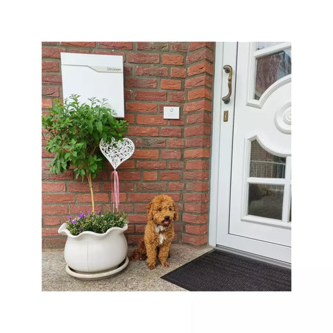 RAL 9016 liiklusvalge