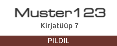 Kirjatüüp 7